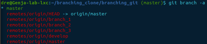 git branch -a after clone