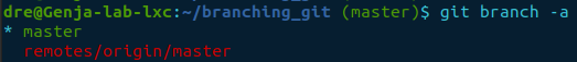 git branch -a