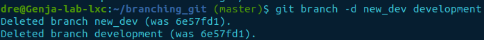 git branch -d multiple.png