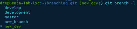 git branch -l after adding
