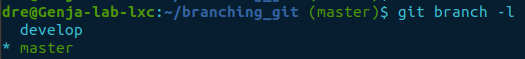 git branch -l after deleting multiple.png