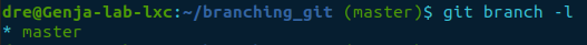 git branch -l