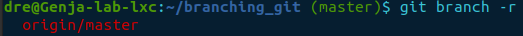 git branch -r