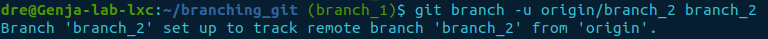 git branch -u origin branch_2.png