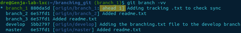 git branch -vv - ahead - highlight