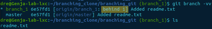 git branch -vv clone postfetch behind