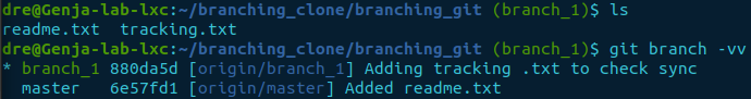 git branch -vv clone postfetch up-to-date