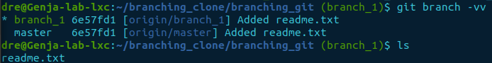 git branch -vv clone prefetch