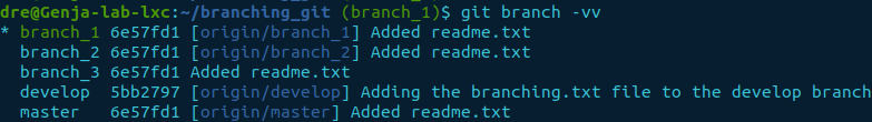 git branch -vv list tracking.png