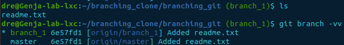 git branch -vv on clone in sync