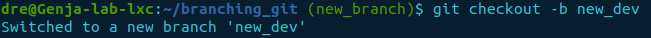 git checkout -b
