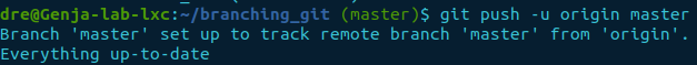 git push -u