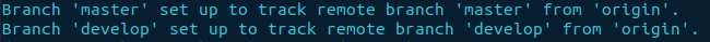 git tracking push --all -u