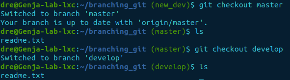 ls git branch