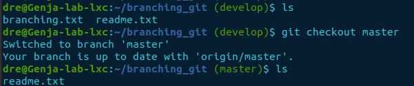 ls git branch difference