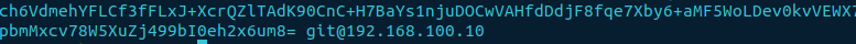 public ssh key snippet