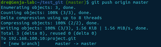 git push remote