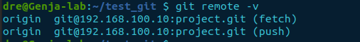 git remote -v