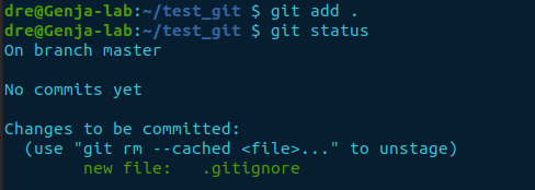 git status .gitignore staged