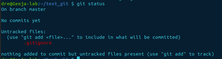 git status .gitignore