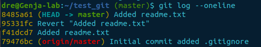 git log final