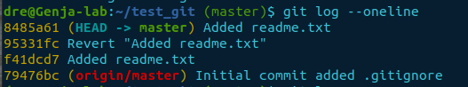 git log --oneline