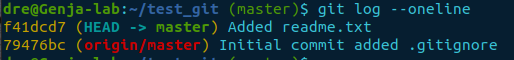 git log --oneline