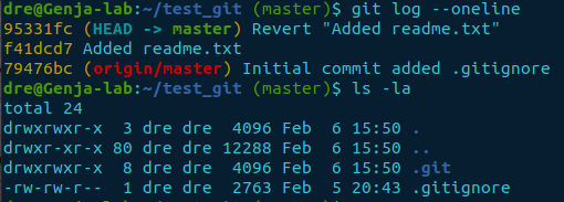 git revert