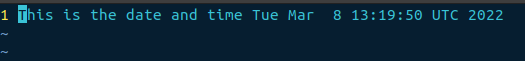 Jenkins echo output